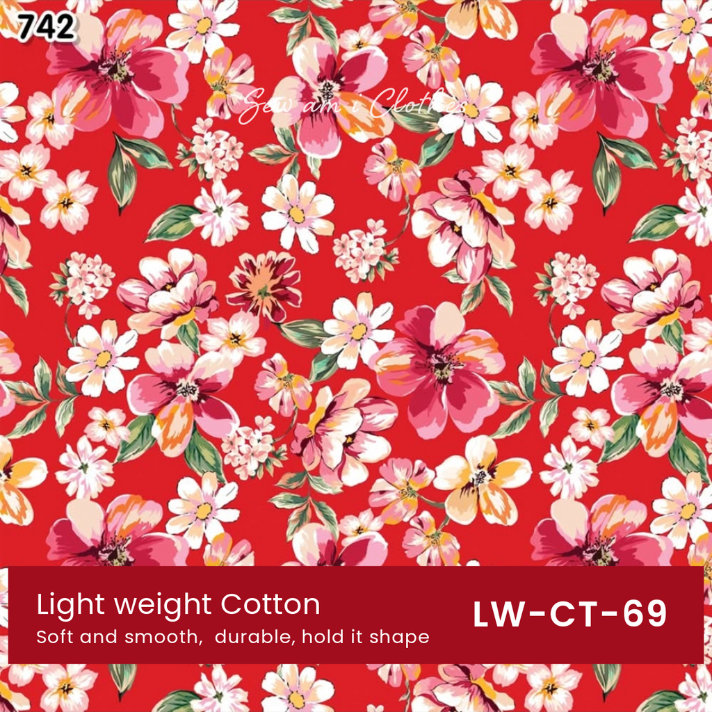 🪭 Something for Lunar New Year 🪭