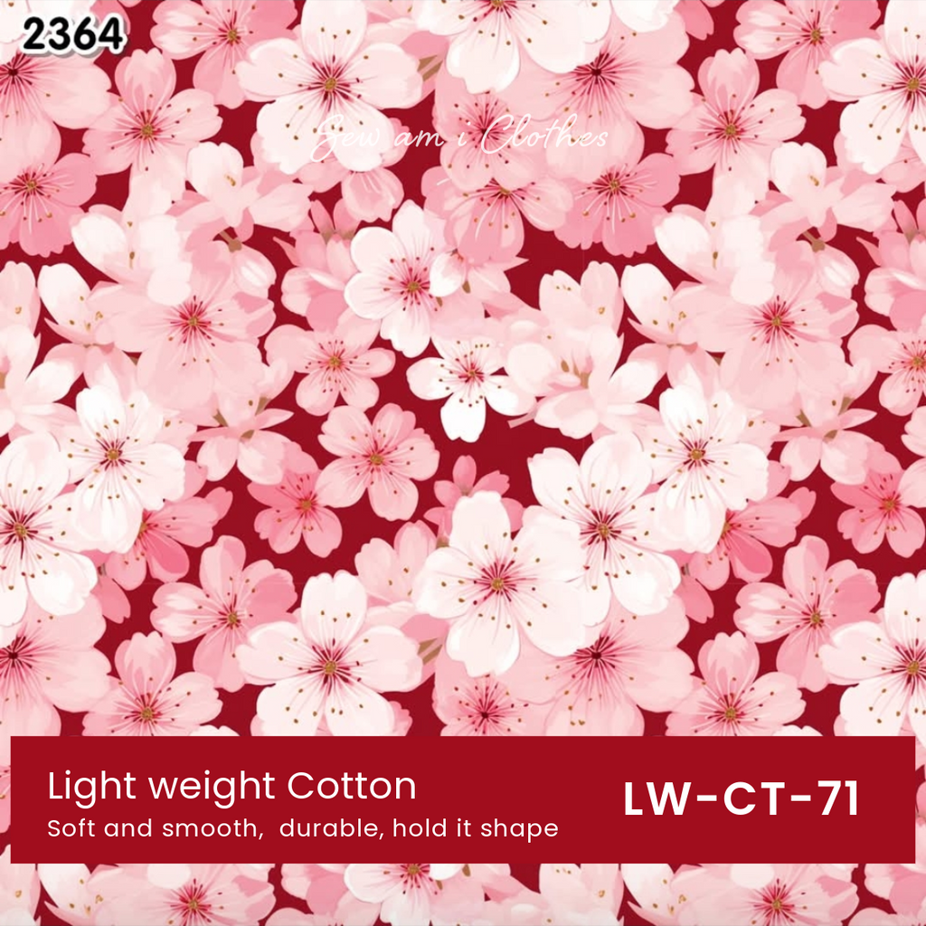 🪭 Something for Lunar New Year 🪭